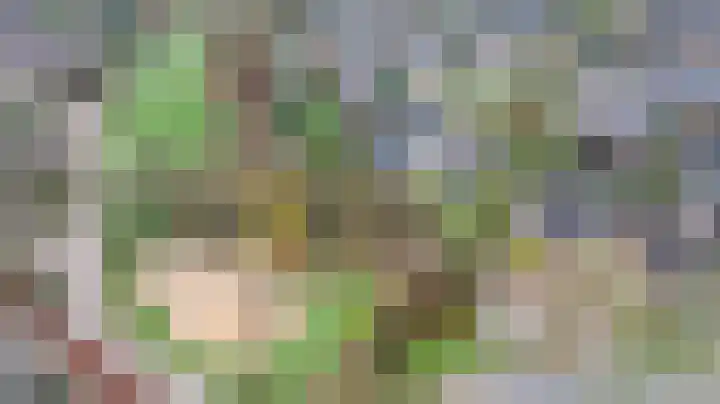 Koemate 104 Doetinchem thumbnail 51