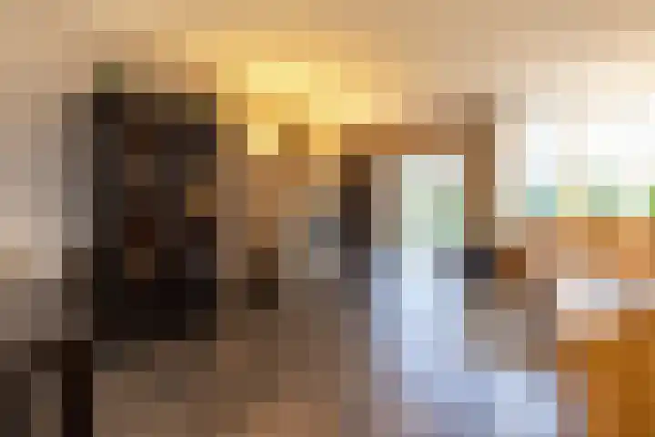 Koemate 104 Doetinchem thumbnail 8
