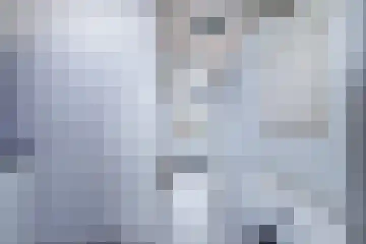 Koemate 128 Doetinchem thumbnail 17