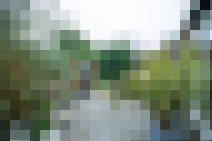 Koemate 128 Doetinchem thumbnail 18