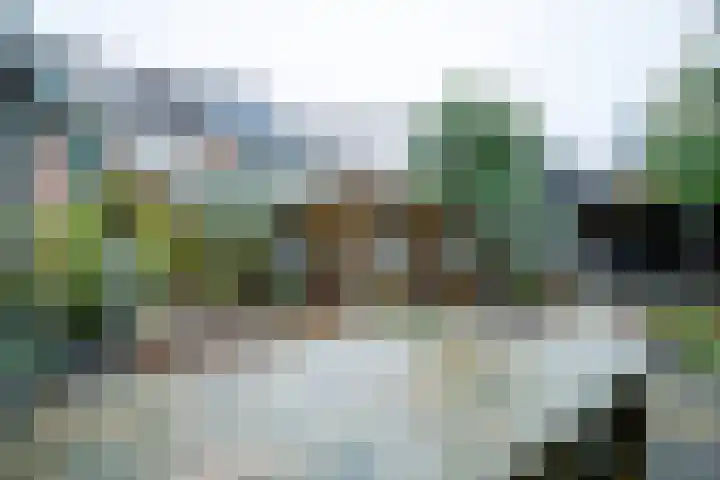 Koemate 128 Doetinchem thumbnail 19