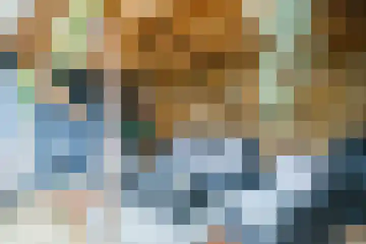 Koemate 128 Doetinchem thumbnail 20