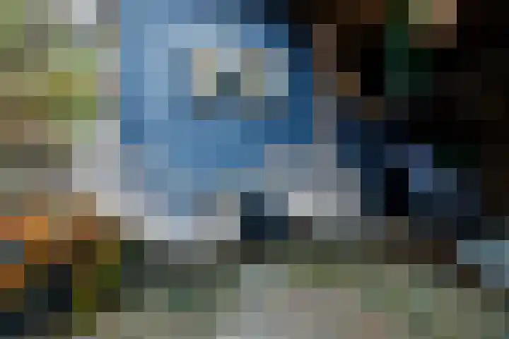 Koemate 128 Doetinchem thumbnail 21