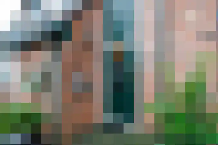 Koemate 128 Doetinchem thumbnail 24