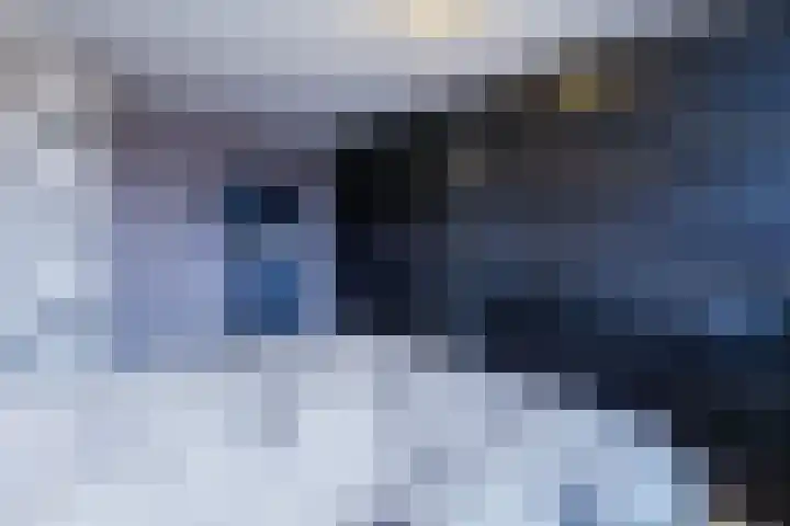 Koemate 128 Doetinchem thumbnail 31