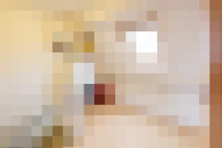 Koemate 128 Doetinchem thumbnail 39