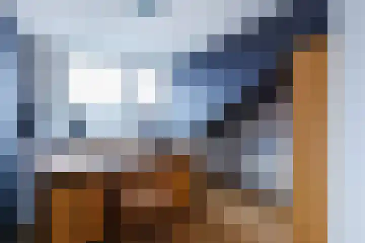 Koemate 128 Doetinchem thumbnail 43