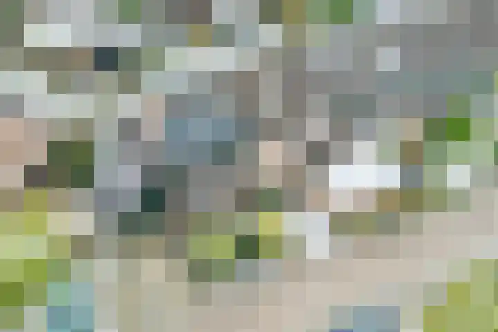 Koemate 128 Doetinchem thumbnail 47