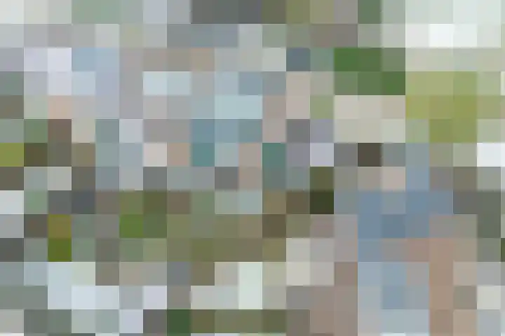 Koemate 128 Doetinchem thumbnail 49