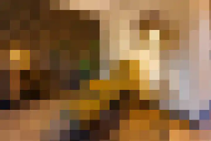 Koemate 128 Doetinchem thumbnail 5