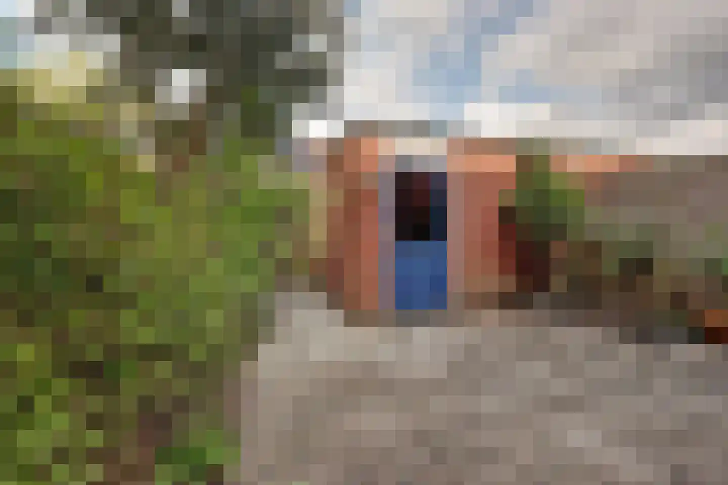 Koemate 35 Doetinchem thumbnail 34