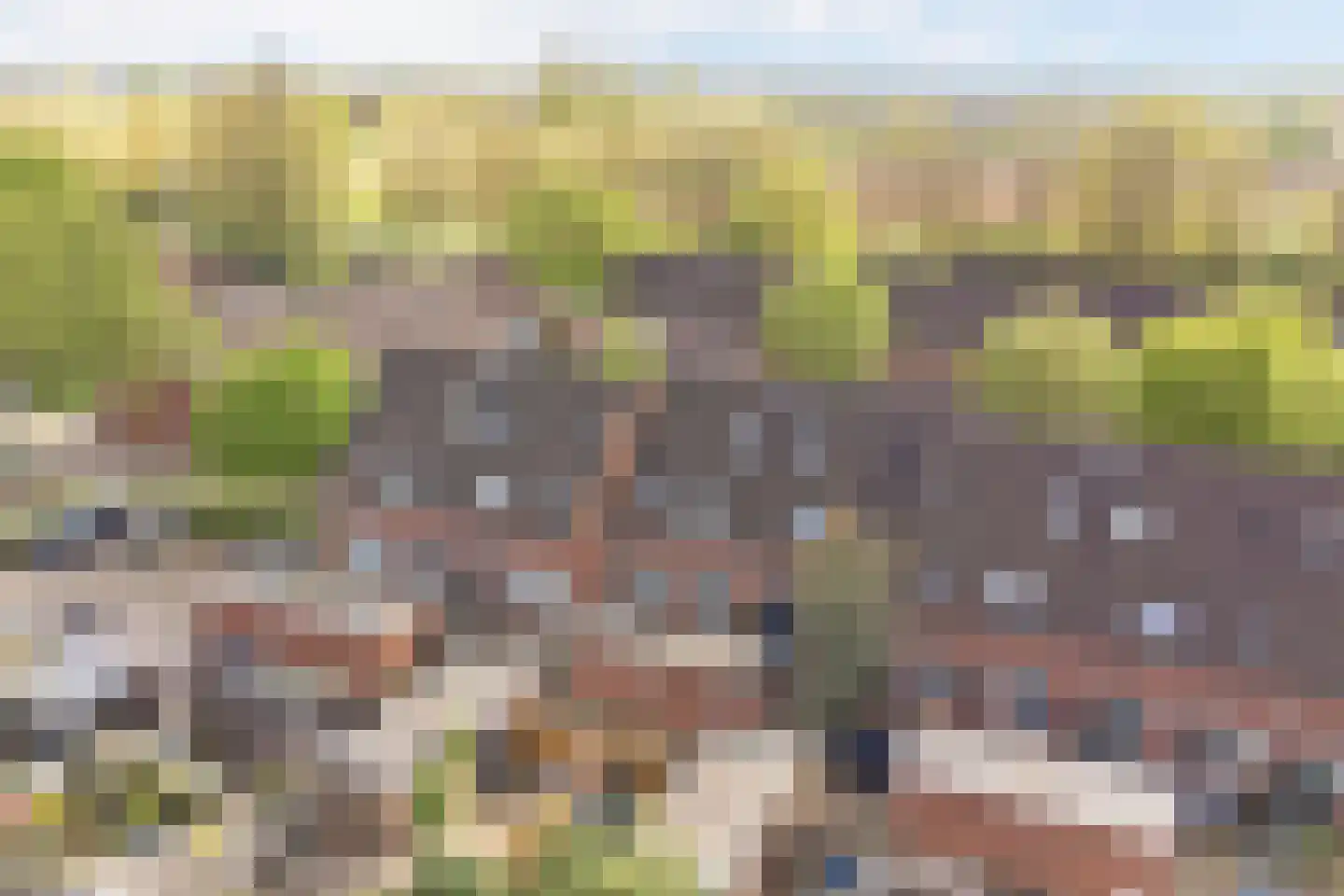 Koemate 35 Doetinchem thumbnail 39