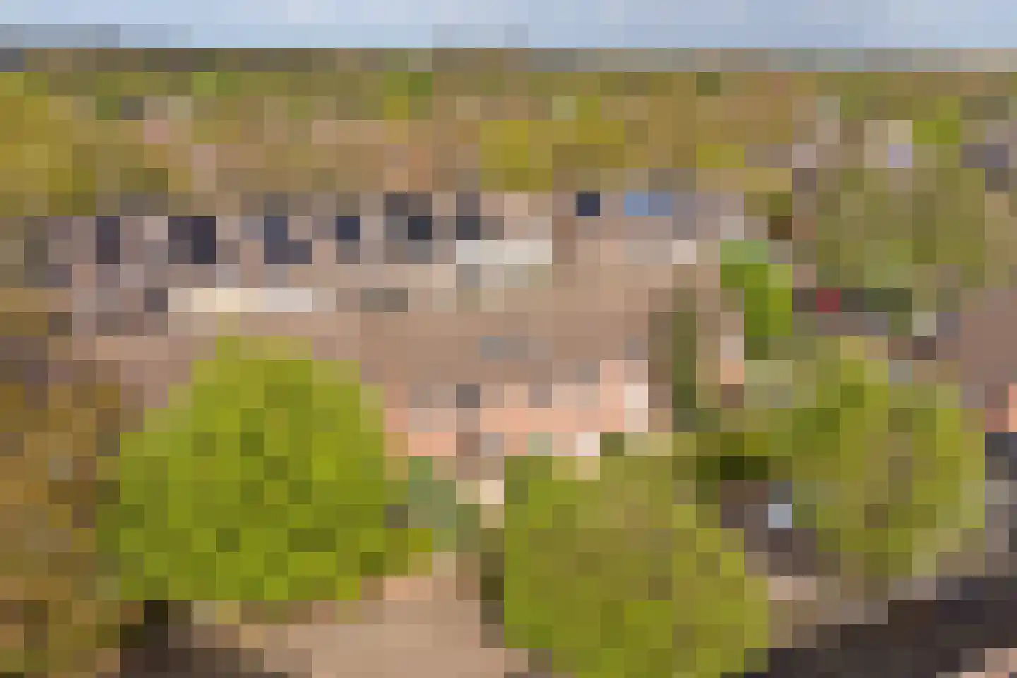 Koemate 35 Doetinchem thumbnail 41