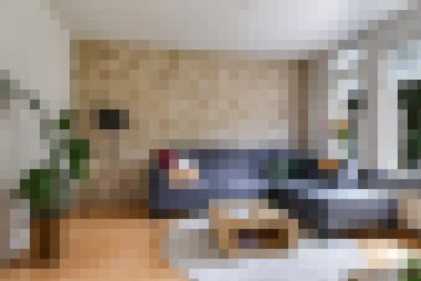 Koemate 39 Doetinchem thumbnail 12
