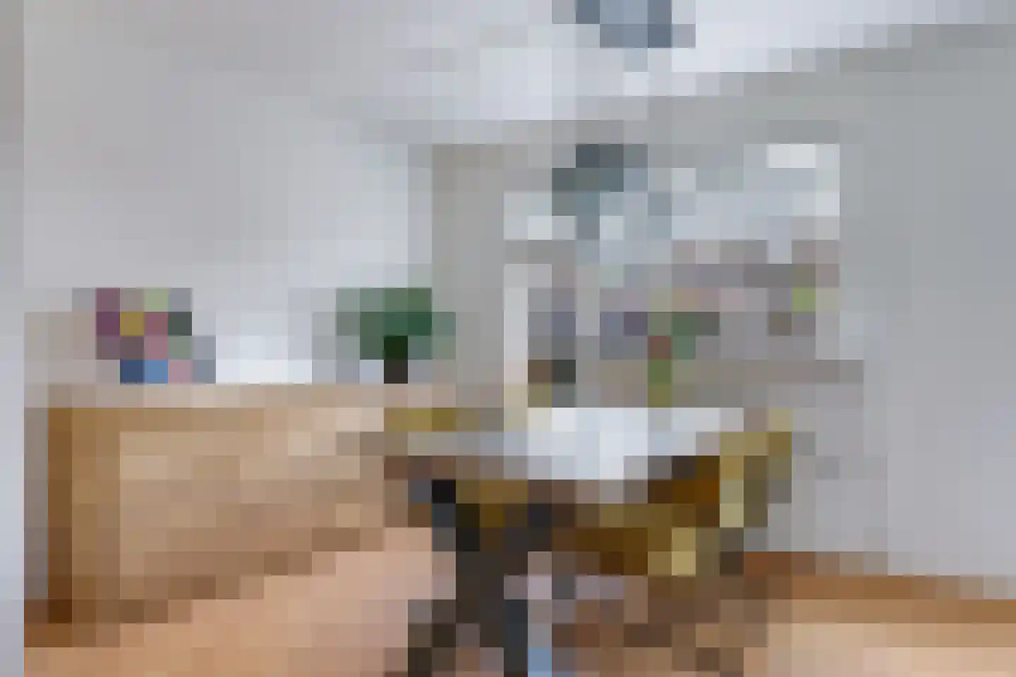 Koemate 39 Doetinchem thumbnail 17