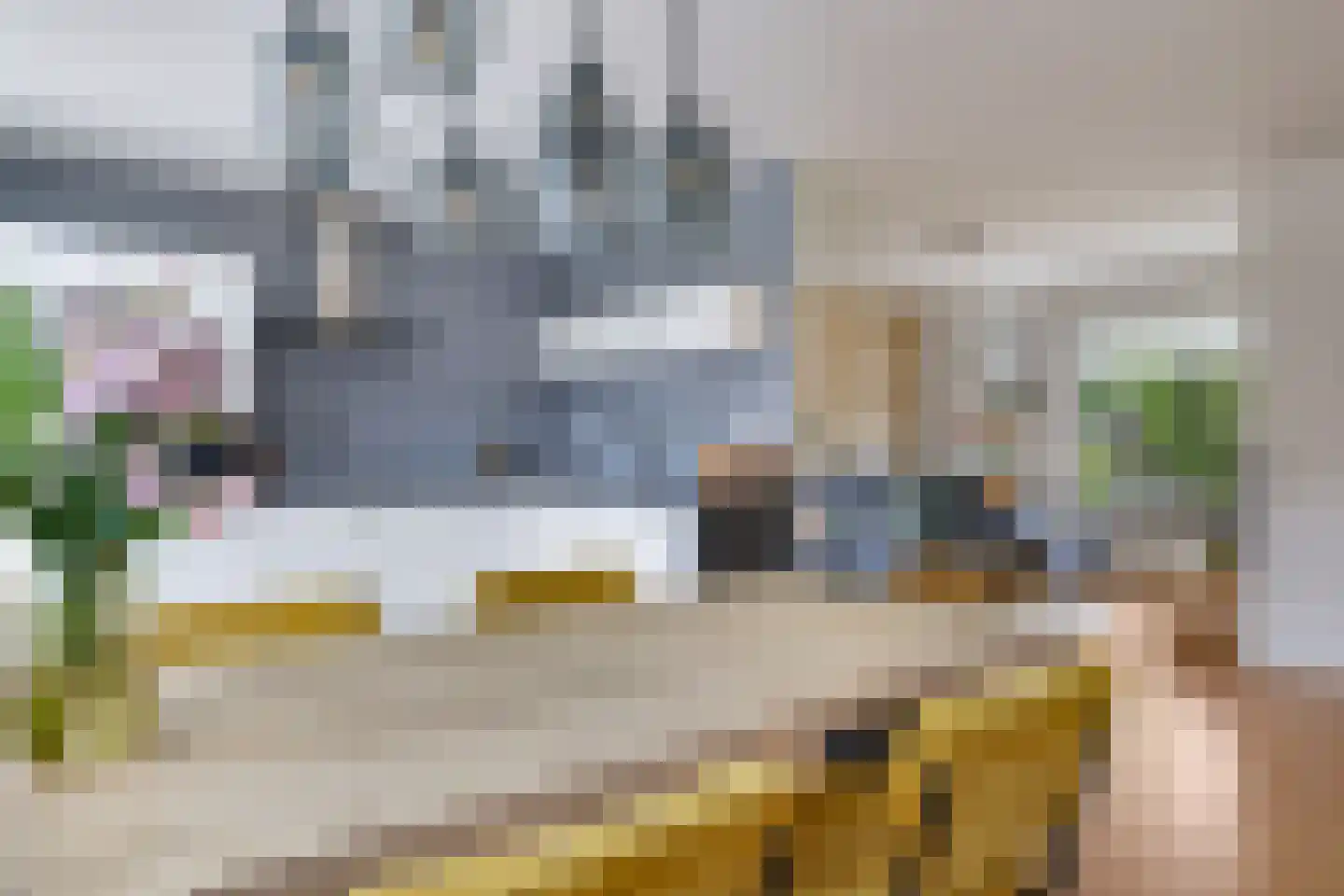 Koemate 39 Doetinchem thumbnail 19