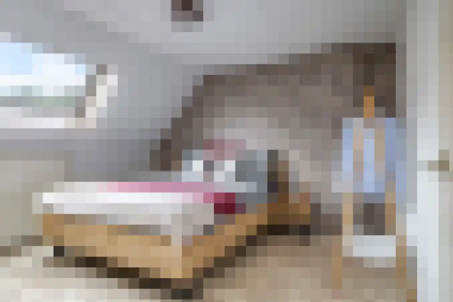 Koemate 39 Doetinchem thumbnail 25