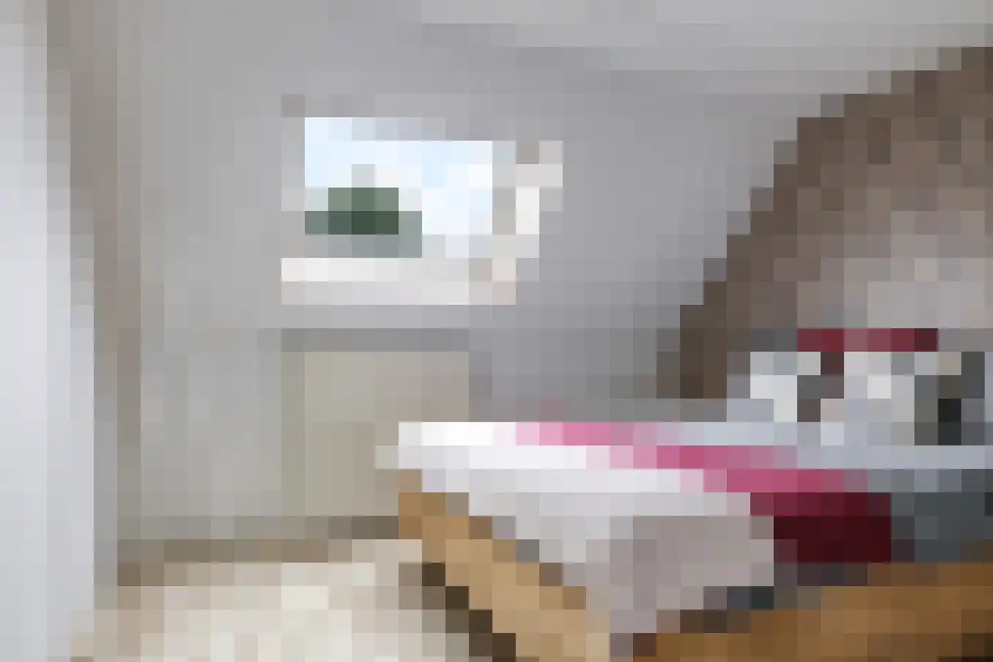 Koemate 39 Doetinchem thumbnail 26