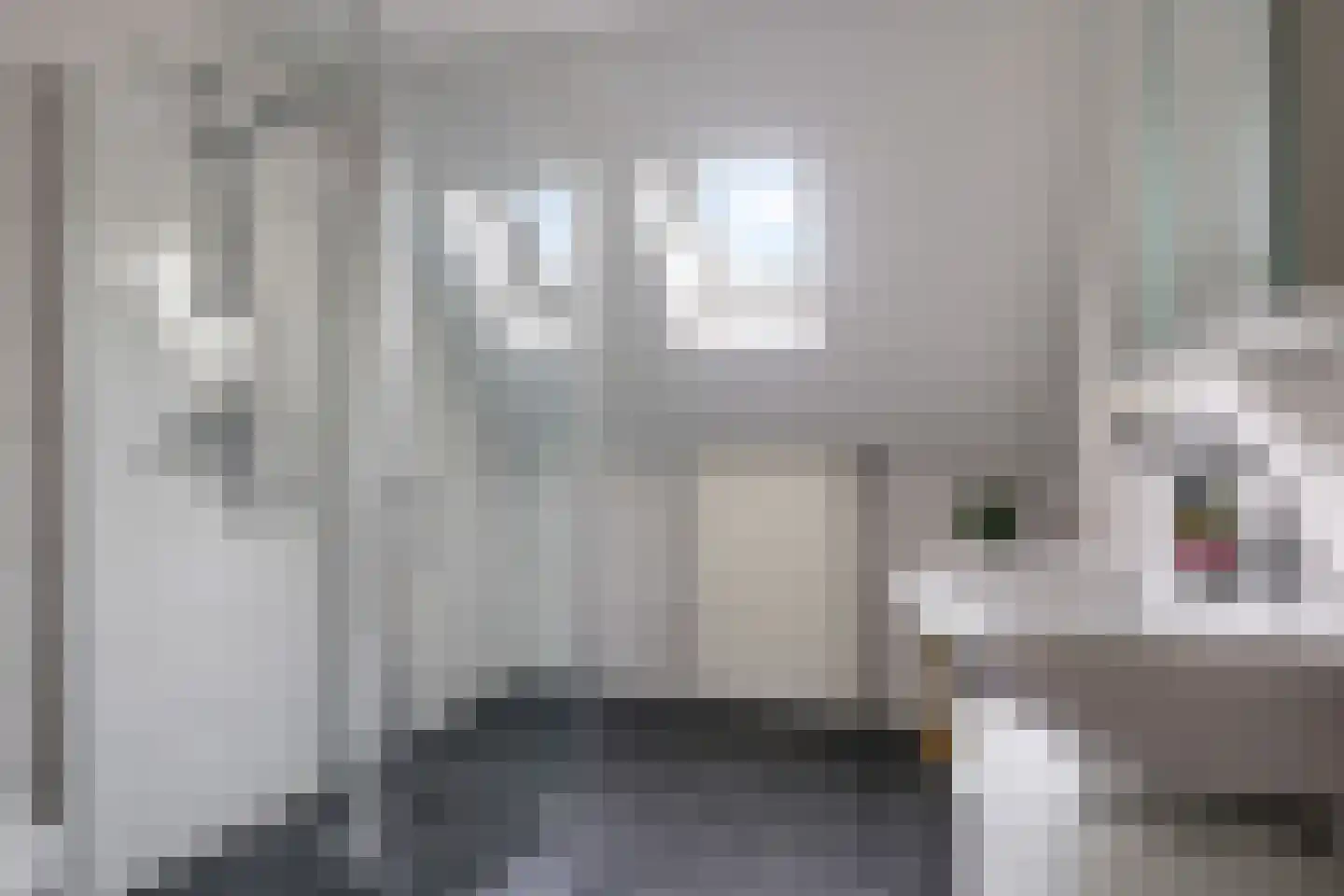 Koemate 39 Doetinchem thumbnail 31