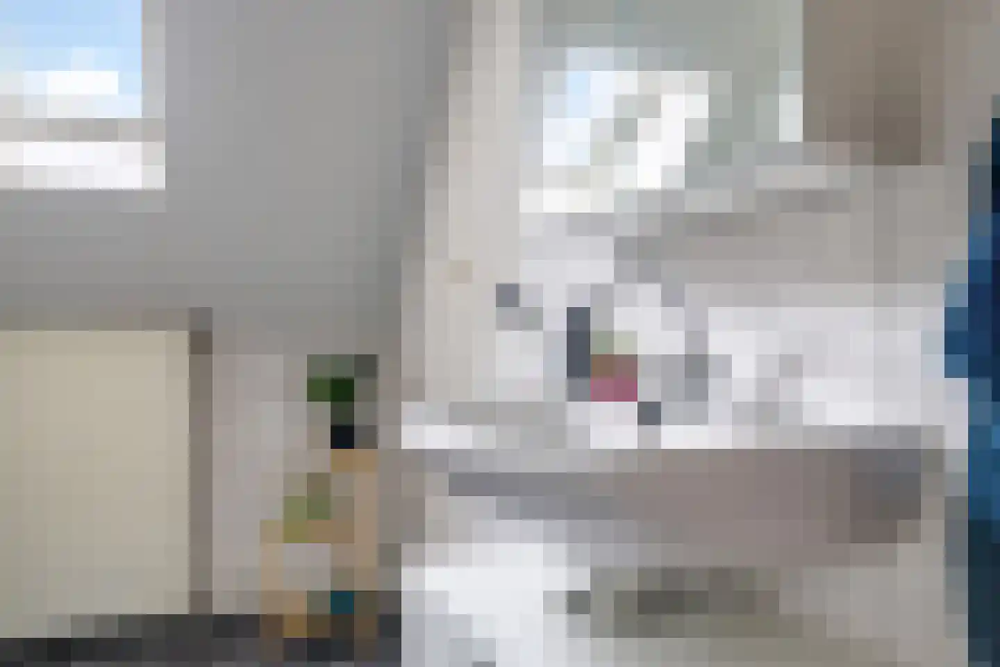 Koemate 39 Doetinchem thumbnail 32