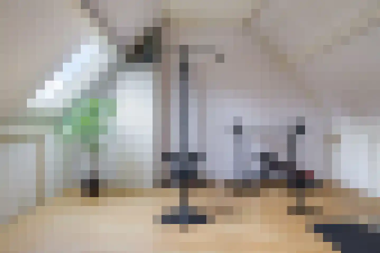 Koemate 39 Doetinchem thumbnail 35