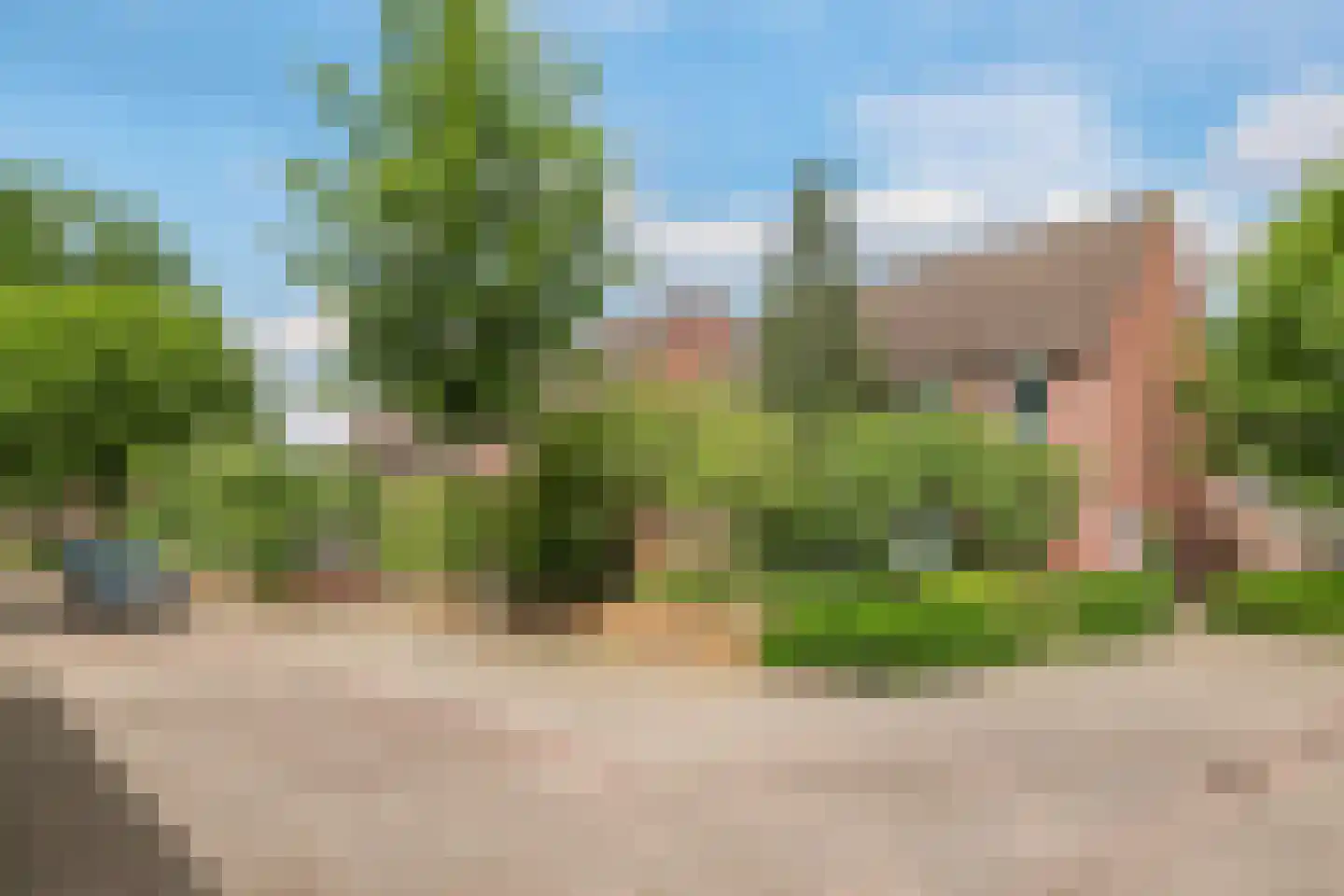Koemate 39 Doetinchem thumbnail 47