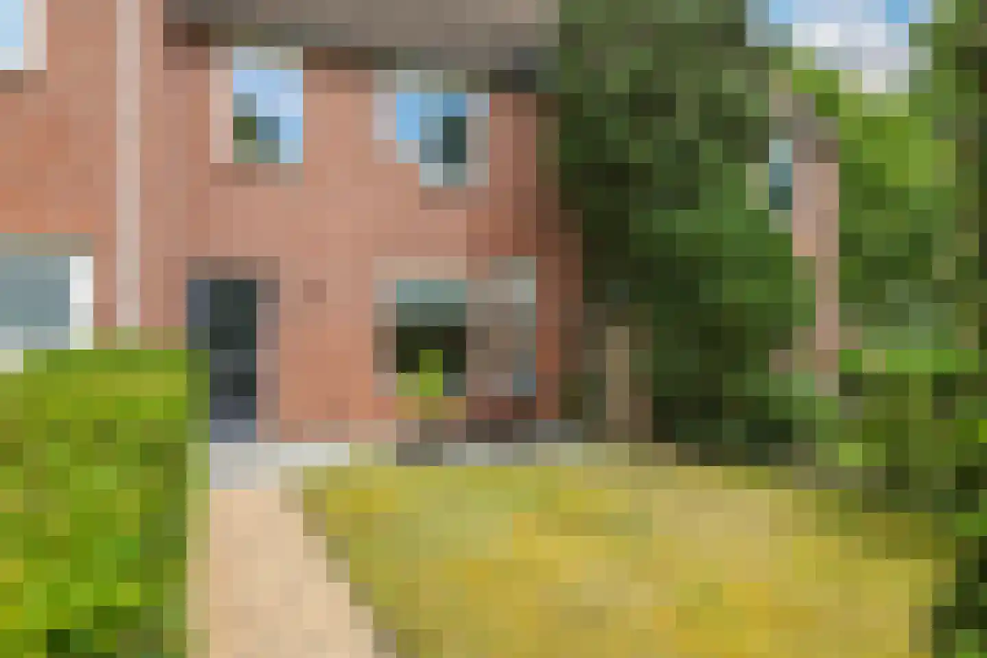 Koemate 39 Doetinchem thumbnail 6
