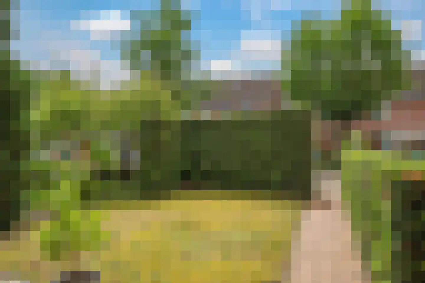 Koemate 39 Doetinchem thumbnail 8