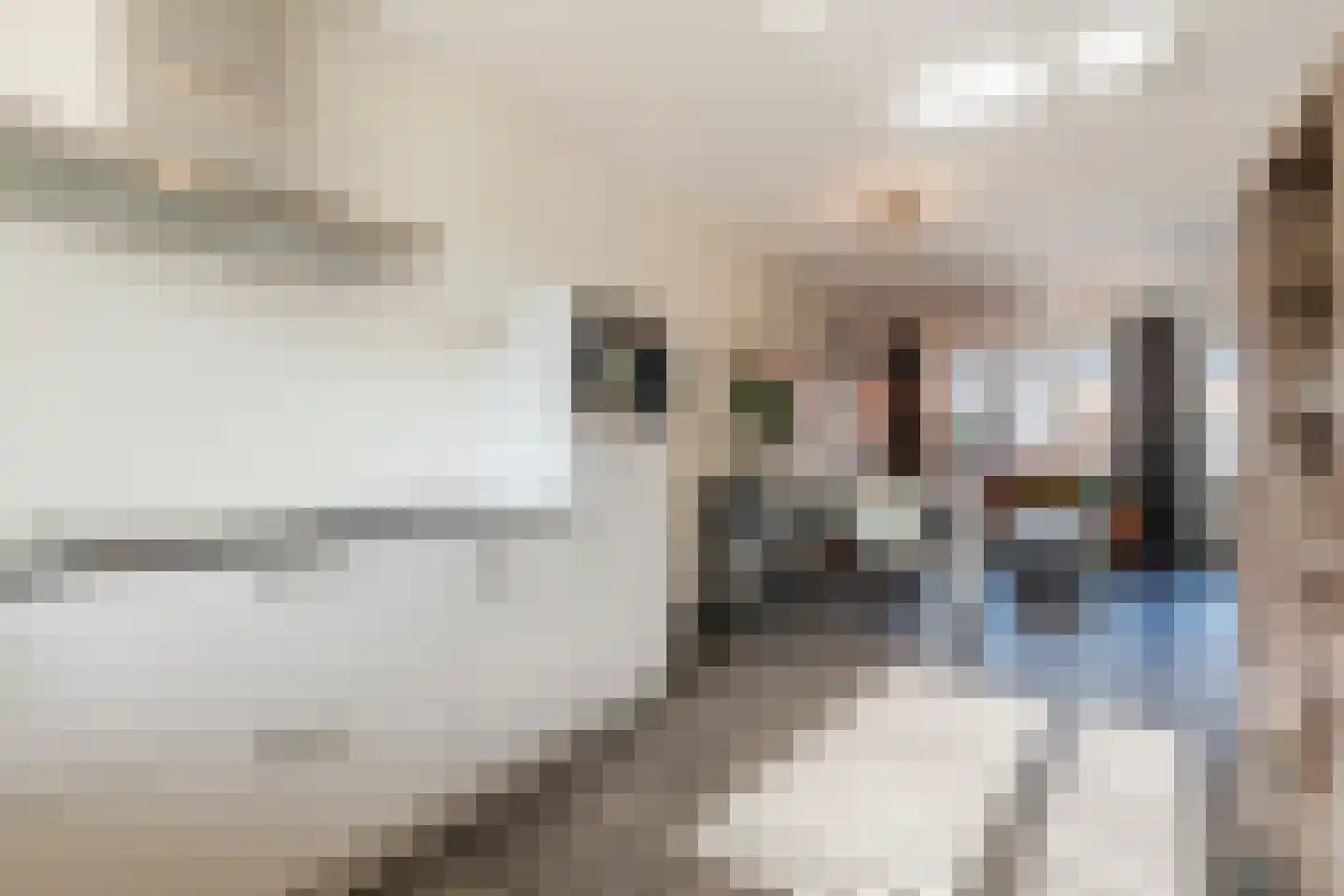 Koemeershoeve 25 Wintelre thumbnail 19