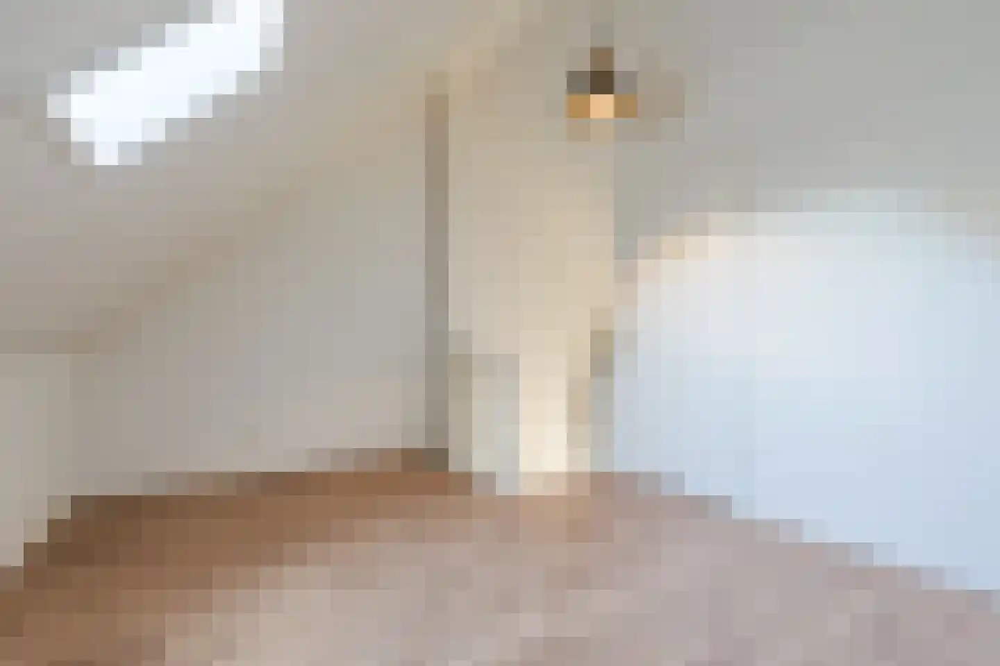 Koemeershoeve 25 Wintelre thumbnail 31