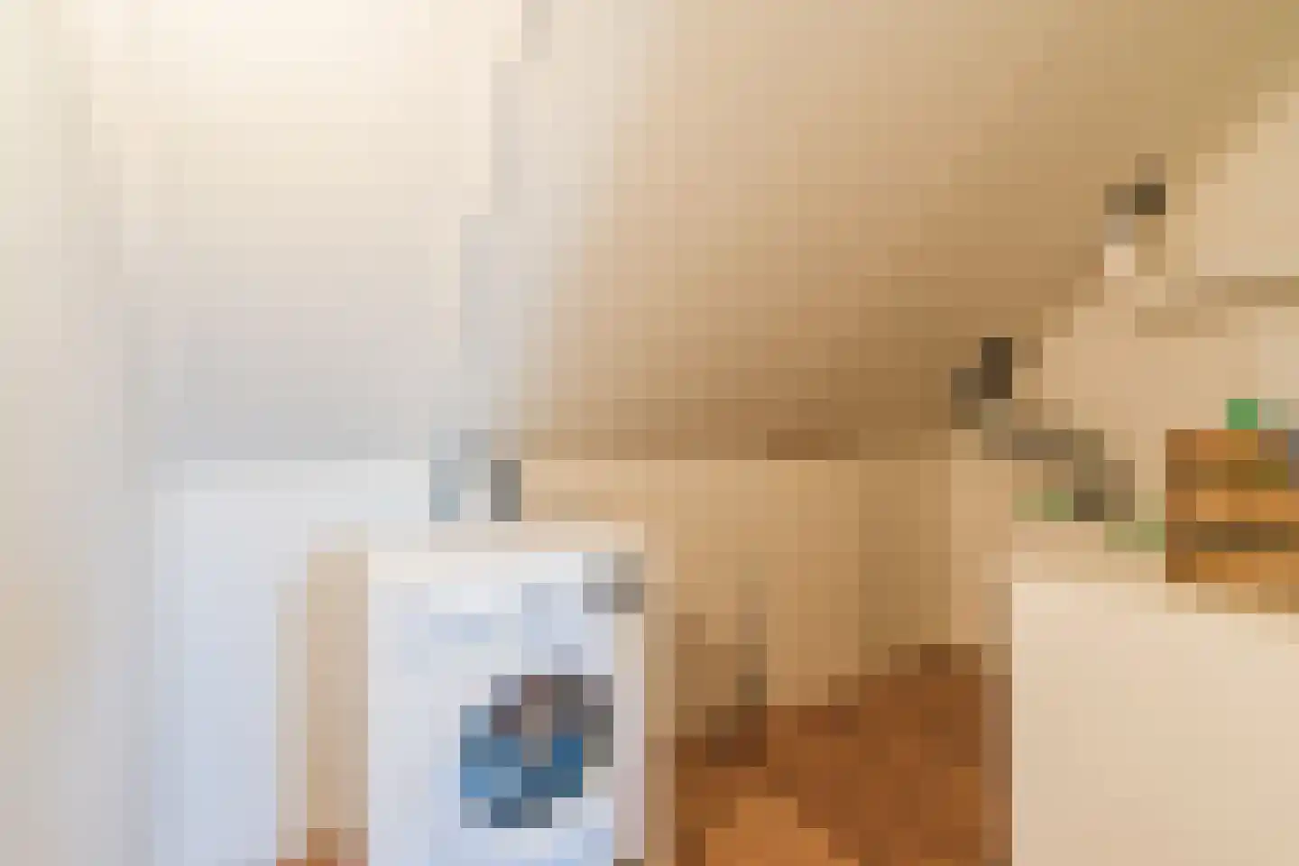 Koemeershoeve 25 Wintelre thumbnail 32