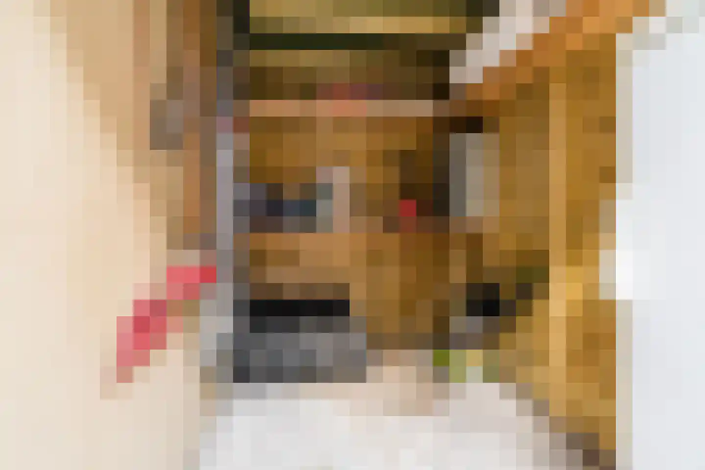 Koemeershoeve 25 Wintelre thumbnail 41
