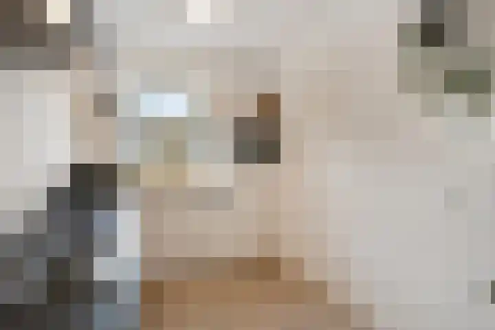 Koemeershoeve 9 Wintelre thumbnail 10