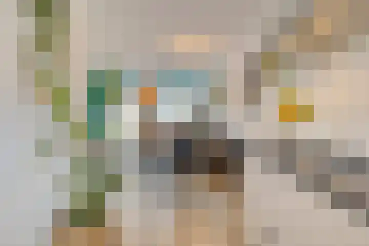 Koemeershoeve 9 Wintelre thumbnail 11