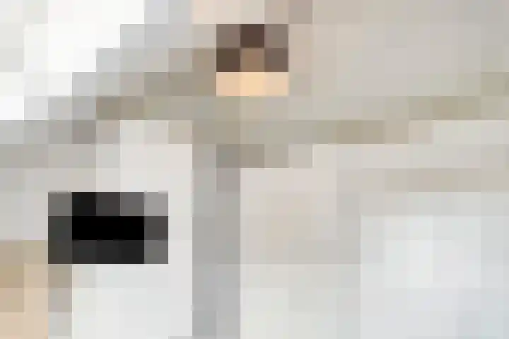 Koemeershoeve 9 Wintelre thumbnail 17