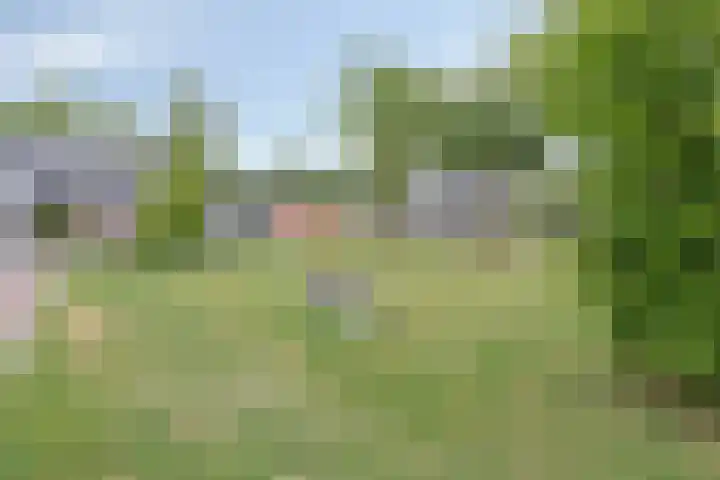 Koemeershoeve 9 Wintelre thumbnail 23