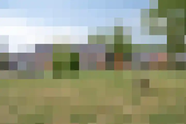 Koemeershoeve 9 Wintelre thumbnail 24