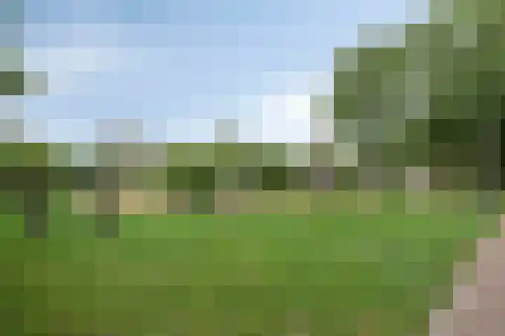 Koemeershoeve 9 Wintelre thumbnail 25