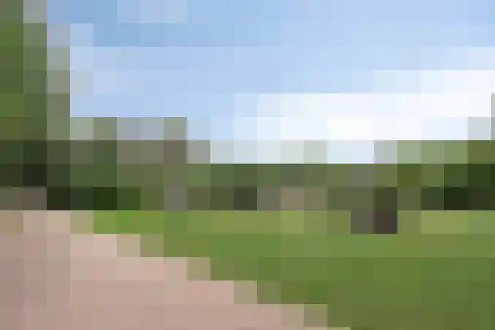 Koemeershoeve 9 Wintelre thumbnail 26