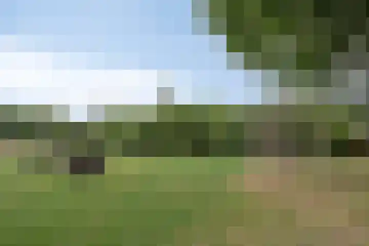 Koemeershoeve 9 Wintelre thumbnail 27