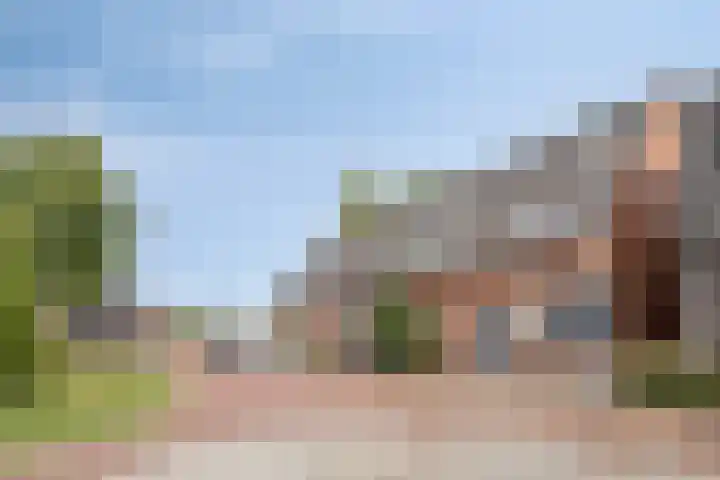 Koemeershoeve 9 Wintelre thumbnail 30