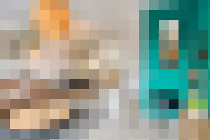 Koemeershoeve 9 Wintelre thumbnail 4