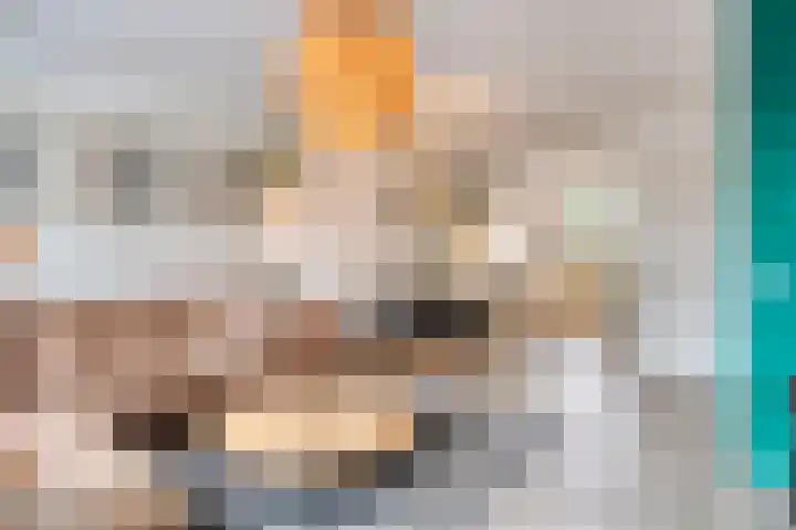 Koemeershoeve 9 Wintelre thumbnail 5
