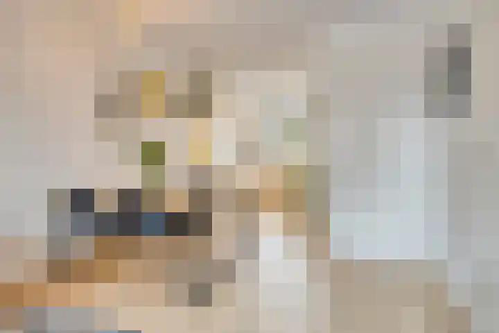 Koemeershoeve 9 Wintelre thumbnail 7