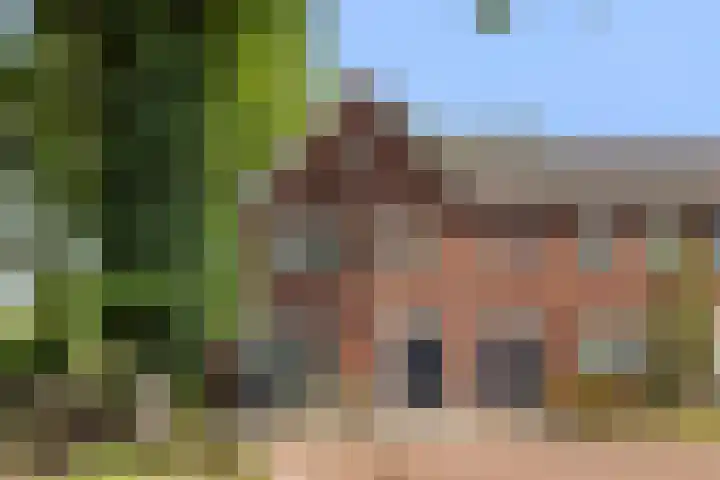 Koemeerskuil 20 Wintelre