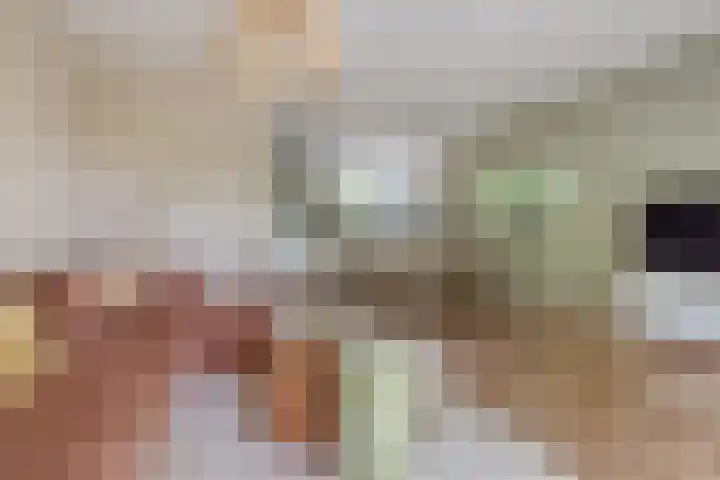 Koemeerskuil 20 Wintelre thumbnail 12