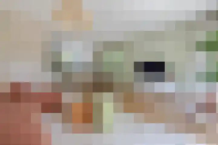 Koemeerskuil 20 Wintelre thumbnail 13