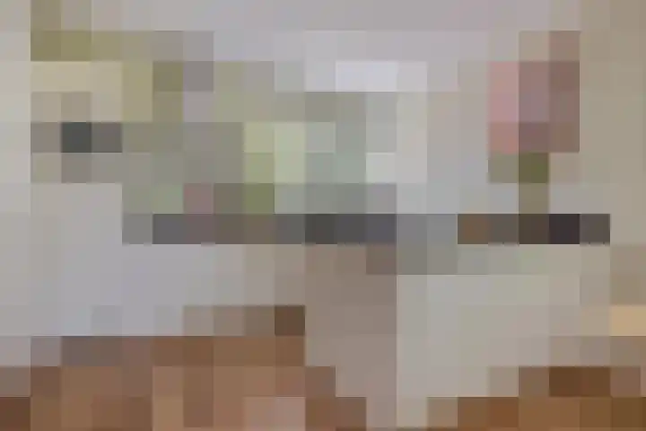 Koemeerskuil 20 Wintelre thumbnail 15