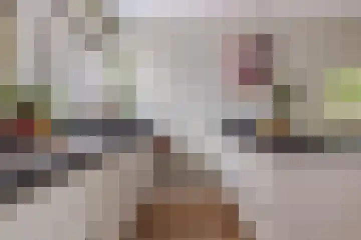 Koemeerskuil 20 Wintelre thumbnail 16