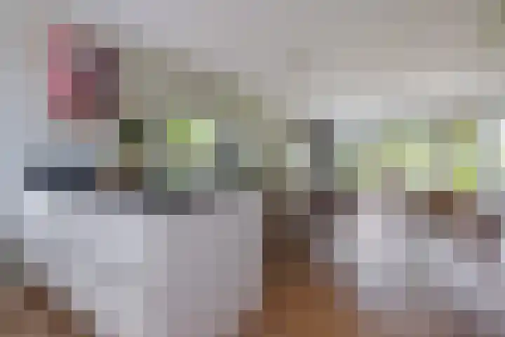 Koemeerskuil 20 Wintelre thumbnail 20